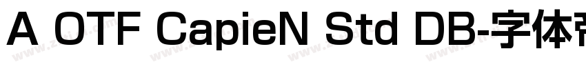 A OTF CapieN Std DB字体转换